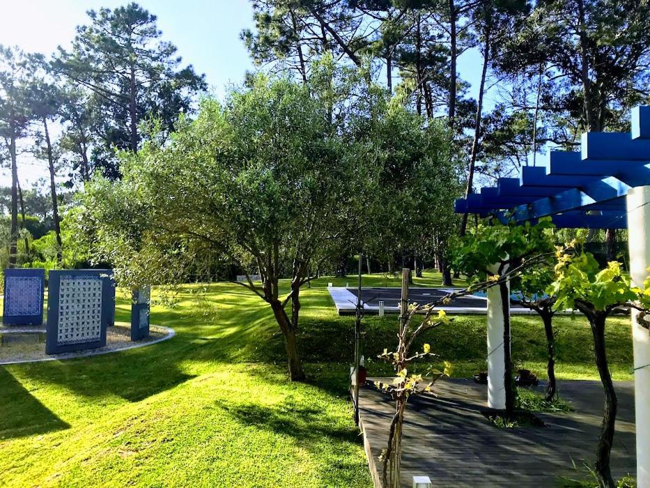 Villa Colares Sintra Kültér fotó
